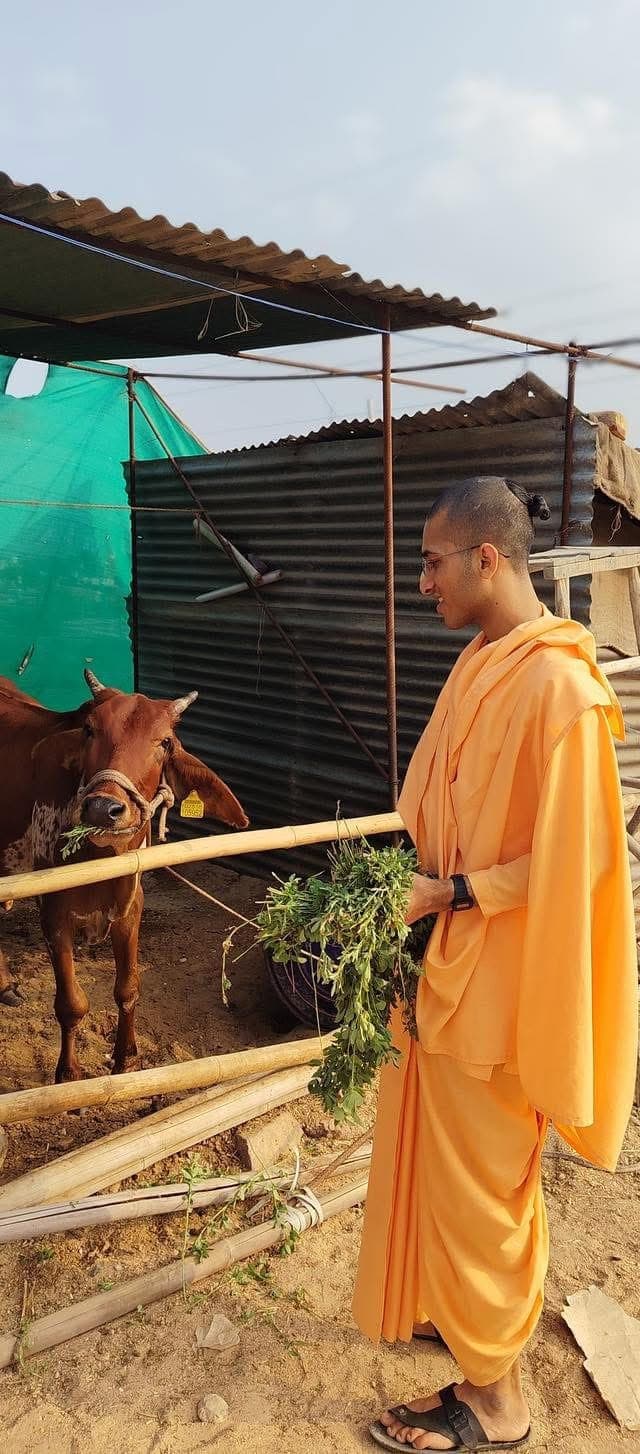 Gau Seva Volunteer Moment